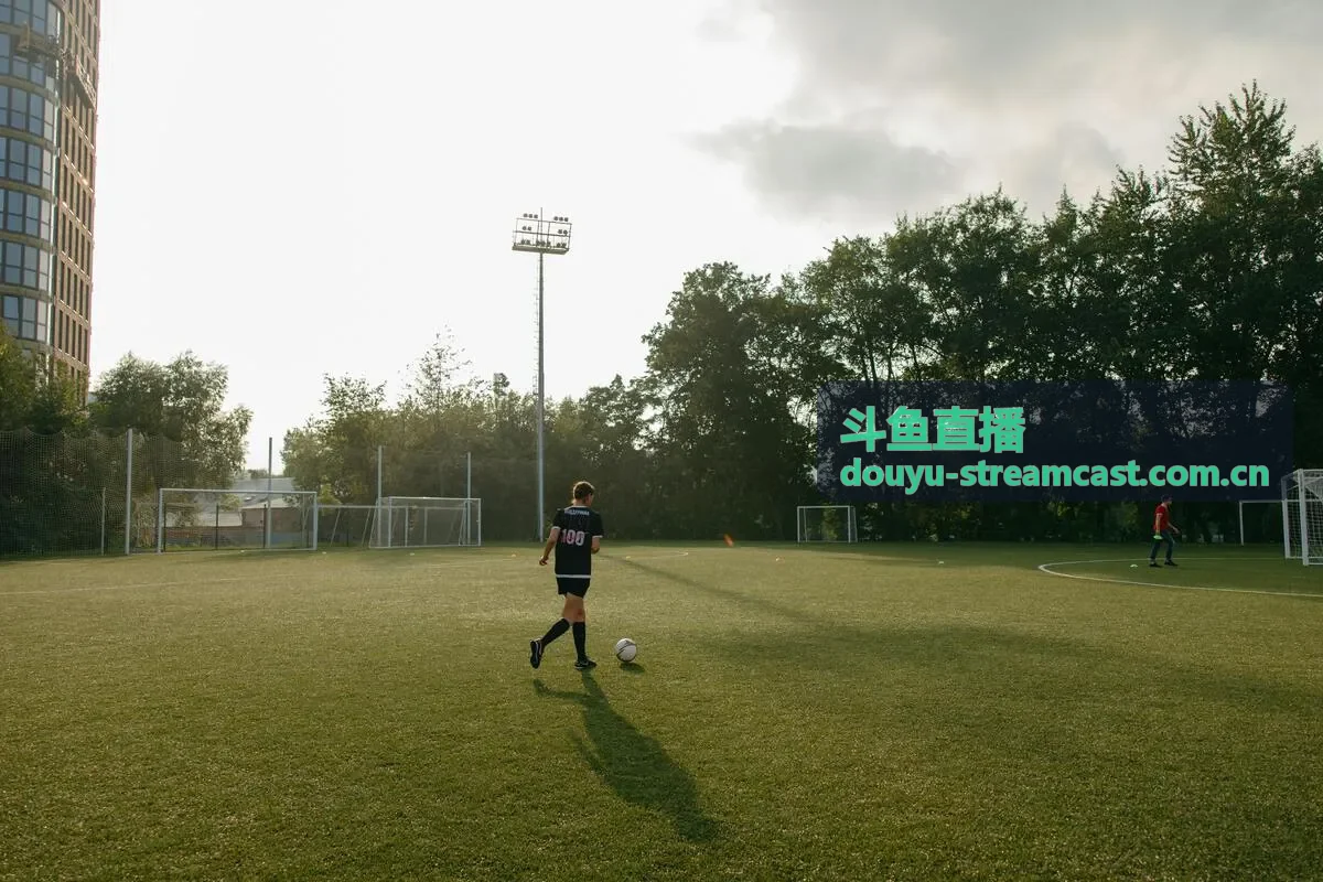 斗鱼直播弹幕互动报告